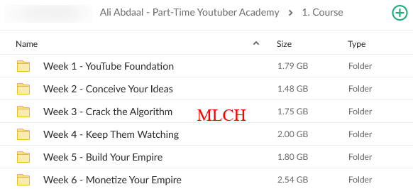 Ali1