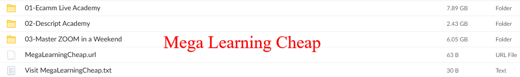 MegaLearningCheap